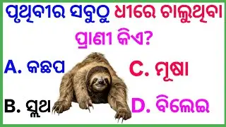 Odia Gk MCQ Part -10 | Odisha Quiz | Odisha Gk | Odisha Gk in Odia |