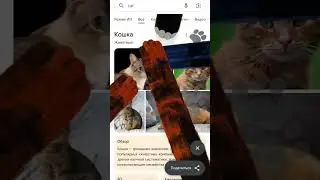 #rge #funny #нетхейту #рекомендации #memes #roblox #minecraft #alaightmotionedit #games #funnyimages