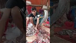 Dulal Fish Cutting  is live!