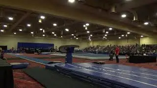 Adrian De Los Angeles - Vault - 2019 Winter Cup Senior Finals