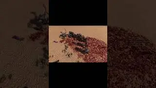 Uebs 2 30 trolls vs 30 Spartans #youtubeshorts #spartans #trolls #fight