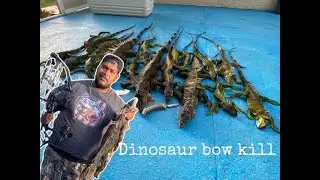 IGUANA Hunt With BOW !