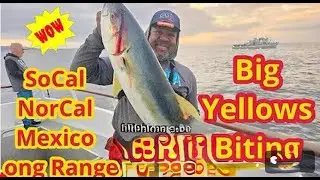 An Evening at the Apollo Sportsfishing