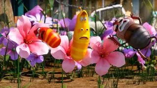 LARVA - Sweet Spring Flowers | Season 3 Marathon | WildBrain Fizz