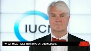 Coral Reefs Economic Risks