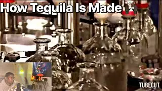 This For My Tequila Drinkers! | How Tequila Is Made In A Factory | Reaction Video