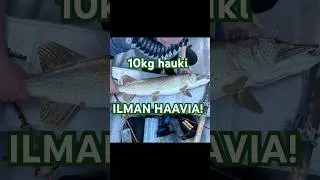 +10kg HAUKI || ILMAN HAAVIA