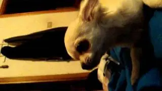 Il mio orso abbracciatutti