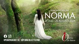 Norma 2024