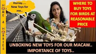 Unboxing new toys for macaw || Where to buy toys for macaw || Importance of toys for macaws..