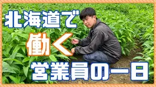北海道の肥料会社で働く、営業員の一日に密着！【住商アグリビジネス/就活/十勝】