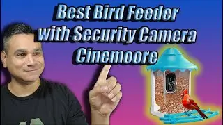 Cinmoore Solar Power Bird Feeder Security Camera Review CM P2U