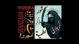 Ya Abbas Shoor - Noora Shahzoda ft. Dawood Reza
