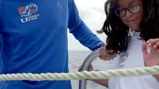 This is Shark Tagging