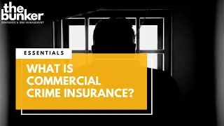 What is Commercial Crime Insurance?