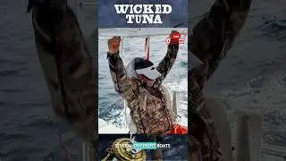 Fishing Frenzy Fights To Stay On Top: Wicked Tuna- Outer Banks #shorts  #wickedtuna #fishing #frenzy