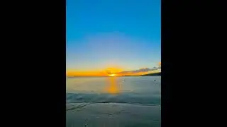 Sunborn Serenity 🌅🕊️🌴🌊 # Hawaii   #paradise #sunset #waves #beach #hawaii  #coconut