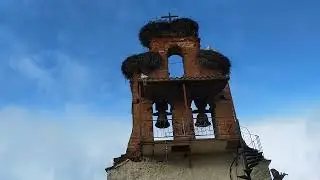 Cigüeñas en el campanario de la iglesia de Valverde de la Virgen - Camino de Santiago - 9 Marzo 2024