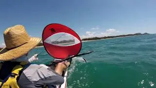 Stealth ProFisha 575 Windpaddle Sail