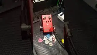 Bass + Hartke Head + Joyo Effects Pedal