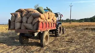 Kheti Ka Dhan (Paddy) One Year ke Liye Hogaya II Hamara Kheti Ka Dhan II Farming India