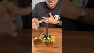 Viral puzzles Vs 2