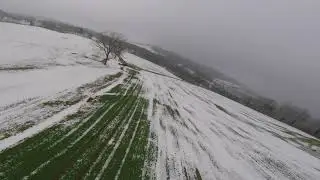 The fog #FPV