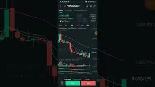 PRIMAL Coin Quick Buying Signal