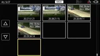 Lifford Greyhounds - Saturday 29th November 2025