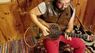 Resonator Pickup, Resonator Microphone, Review by The Lark and the Loon