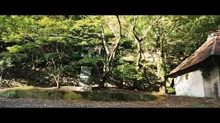 [シネスコ版]落人の里「水越」への道／東温市道 水越線[等速](2025.9.7)
