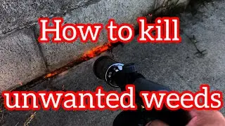 How to deal with unwanted weeds.......#weedstocks  #weedkiller