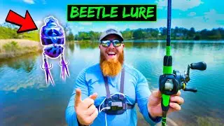BEETLE Lure Fishing Challenge (HUGE BASS CAUGHT!!)