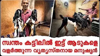 സ്വന്തം കട്ടിലിൽ ഇട്ട് ആടുകളെ വളർത്തുന്ന ഒരു ചേട്ടൻ 💕#GOT