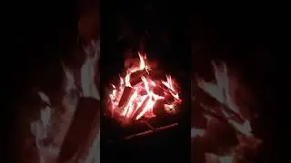 Велодень 2019