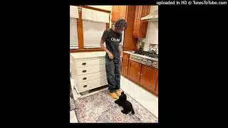 protect + ball hog type beat - 