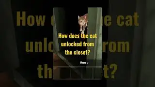 Scary Teacher 3D || How does the cat unlocked? #scaryteacher3d #unlocked #cat