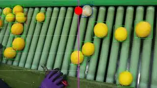 Tracking fruit defects using YoLo