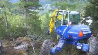 ATH Alpenpark Turrach - Bauphase I