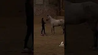 V jezdectv&iacute; by mělo m&iacute;t v&scaron;e svůj důvod