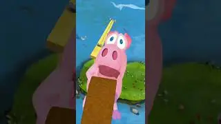 Flying Pig!