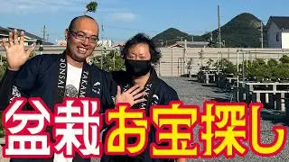 驚きの産地価格を徹底検証！盆栽の郷でお宝探し【高松盆栽の郷フェスタ】
