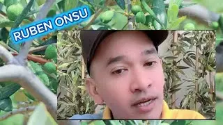 Ko Ruben jawab semua pertanyaan dari netizen...