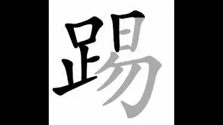 how to write chinese 踢丨Chinese stroke order中文汉字笔顺动画