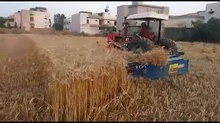 Reaper Binder Yapel (made in turky)
