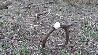 Szó fennakad, lehelet megszegik...