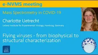 Flying viruses &ndash; from biophysical to structural characterization