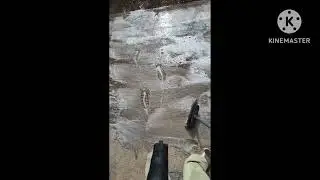 Scrubbing the back patio. #life #cleaning #diy #howto #satisfying