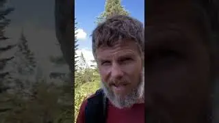 PCT 61: Trail Buggered #shorts #pct2022 #hiking #burneyfalls #california #trails