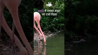 Kolleru Lake | UPSC PYQ | Map in Short | Amrit Upadhyay | UPSC 2024 | StudyIQ IAS हिंदी